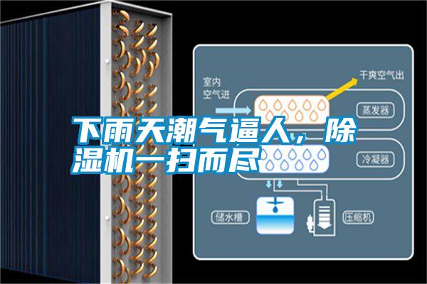 下雨天潮氣逼人,除濕機一掃而盡