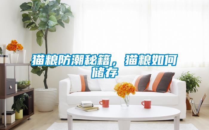 貓糧防潮秘籍，貓糧如何儲存