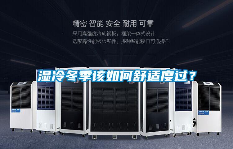 濕冷冬季該如何舒適度過(guò)?