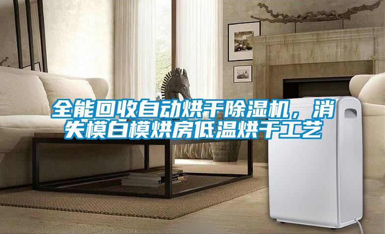 全能回收自動(dòng)烘干除濕機(jī),消失模白模烘房低溫烘干工藝