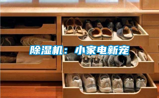 除濕機:小家電新寵