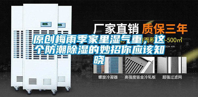 原創(chuàng)梅雨季家里濕氣重,這個防潮除濕的妙招你應(yīng)該知曉