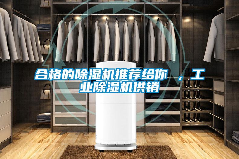 合格的除濕機推薦給你 ,工業除濕機供銷