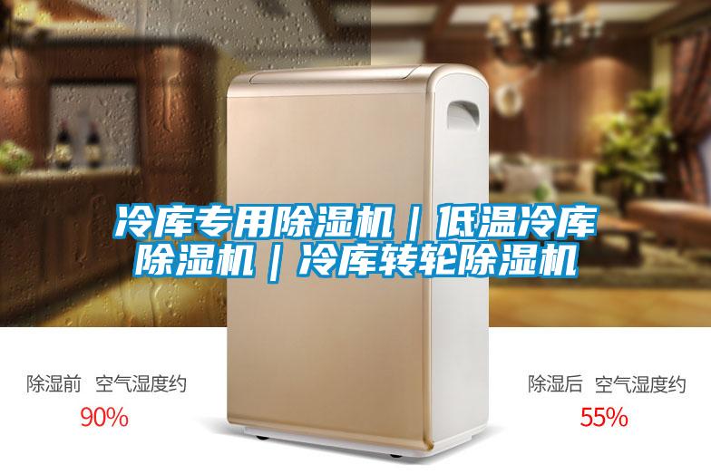 冷庫專用除濕機|低溫冷庫除濕機|冷庫轉(zhuǎn)輪除濕機