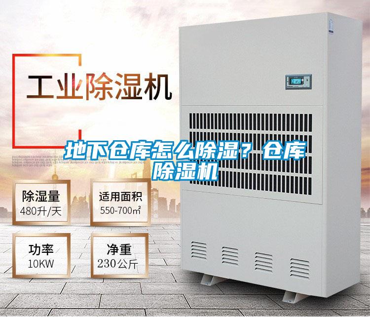 地下倉(cāng)庫(kù)怎么除濕?倉(cāng)庫(kù)除濕機(jī)