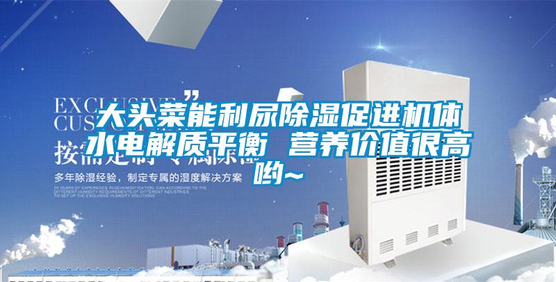 大頭菜能利尿除濕促進(jìn)機體水電解質(zhì)平衡 營養(yǎng)價值很高喲~