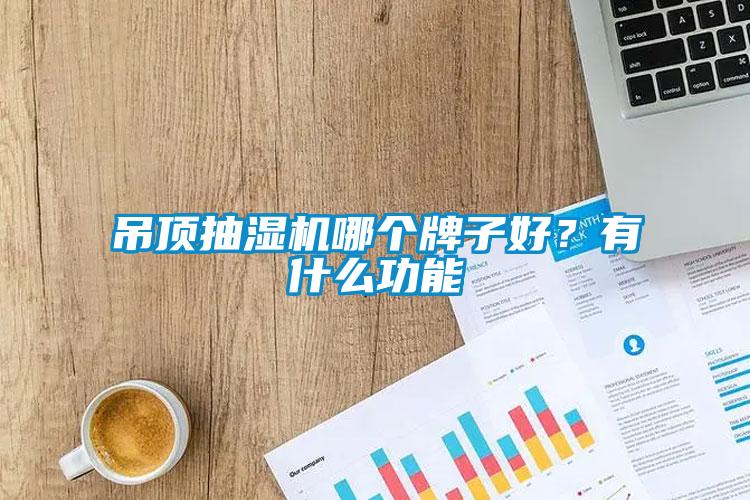 吊頂抽濕機哪個牌子好？有什么功能