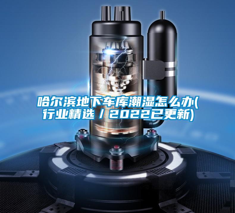 哈爾濱地下車庫潮濕怎么辦(行業精選/2022已更新)
