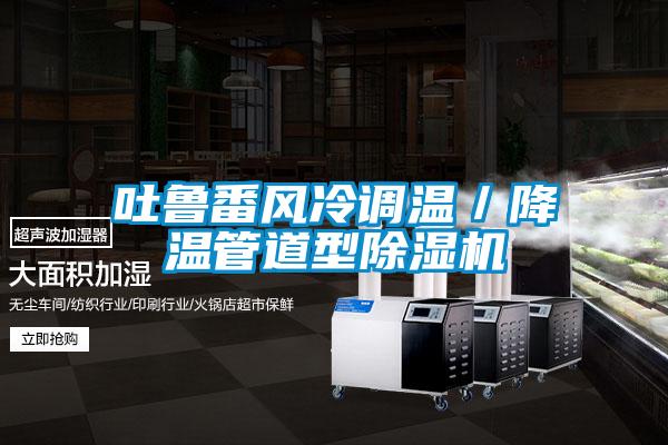 吐魯番風冷調溫/降溫管道型除濕機
