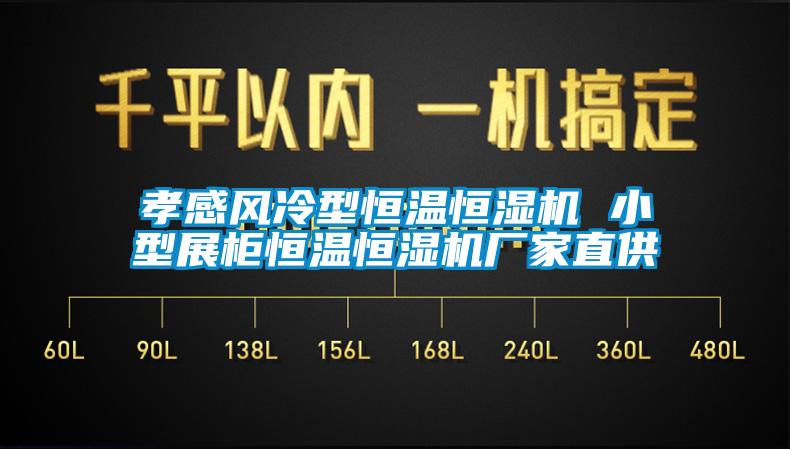 孝感風冷型恒溫恒濕機 小型展柜恒溫恒濕機廠家直供