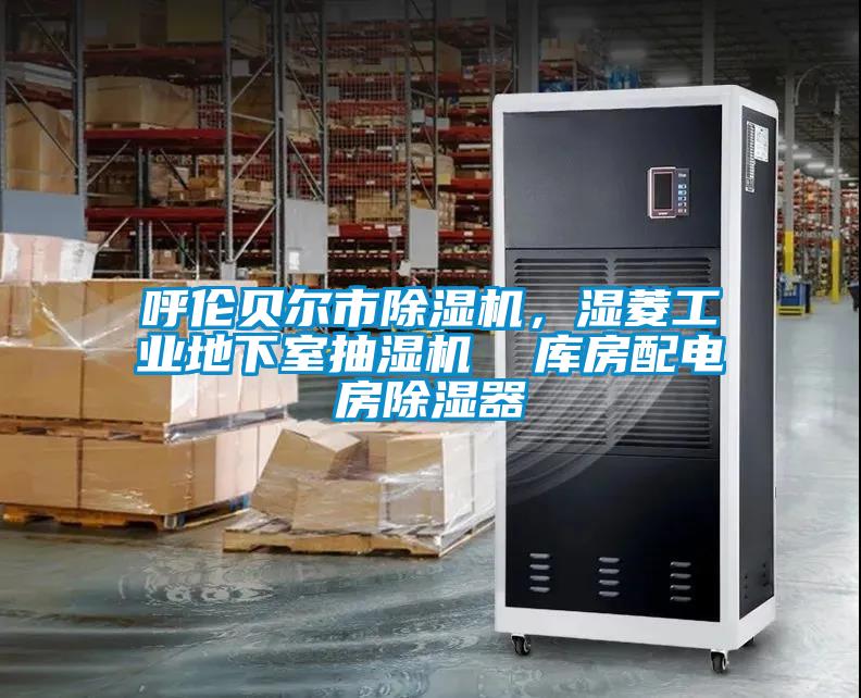 呼倫貝爾市除濕機,濕菱工業地下室抽濕機 庫房配電房除濕器