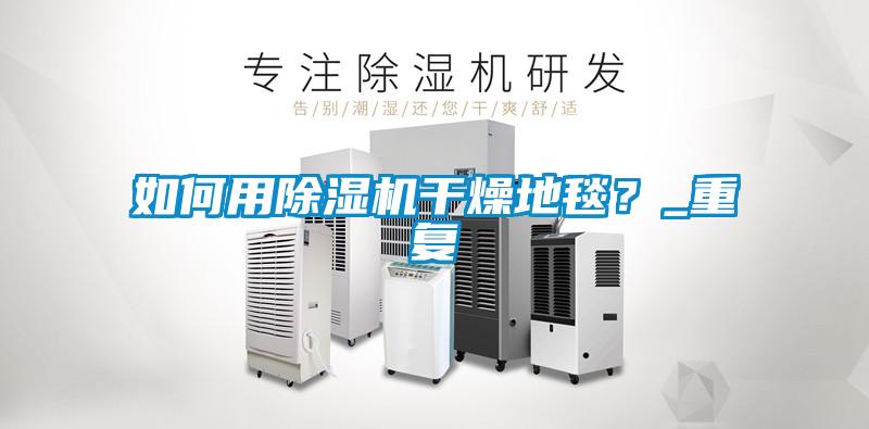 如何用除濕機干燥地毯？_重復