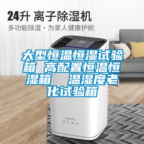 大型恒溫恒濕試驗箱 高配置恒溫恒濕箱 溫濕度老化試驗箱