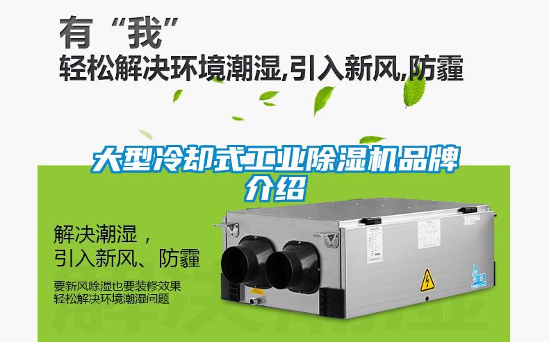 大型冷卻式工業(yè)除濕機品牌介紹