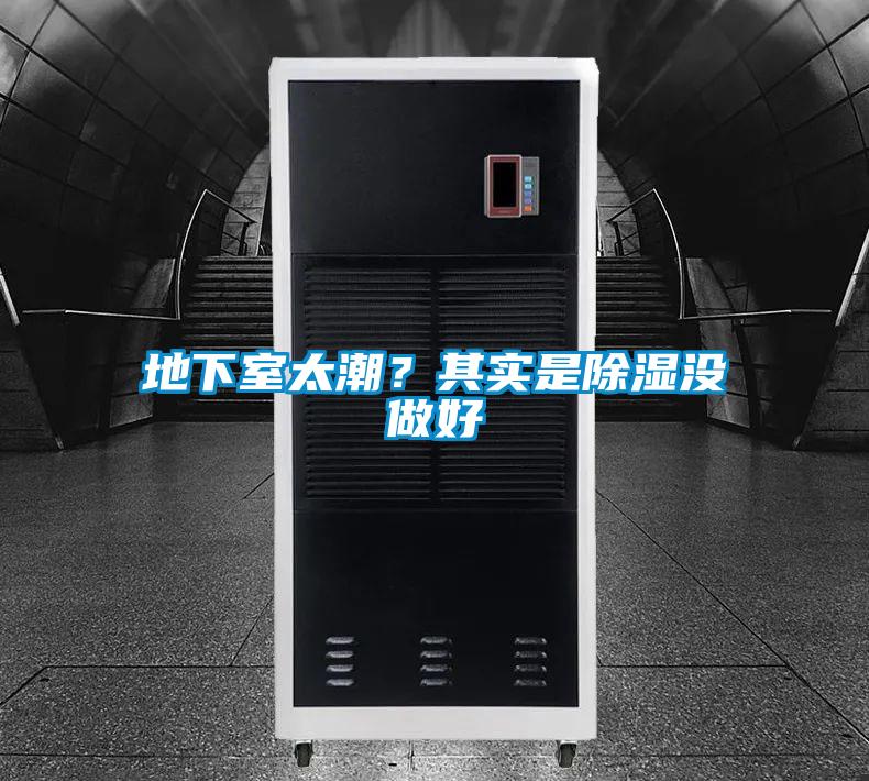 地下室太潮?其實是除濕沒做好