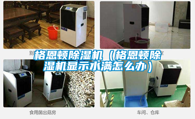 格恩頓除濕機(格恩頓除濕機顯示水滿怎么辦)