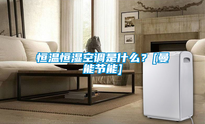 恒溫恒濕空調是什么？[曼能節能]