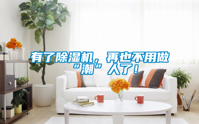 有了除濕機(jī)，再也不用做“潮”人了！