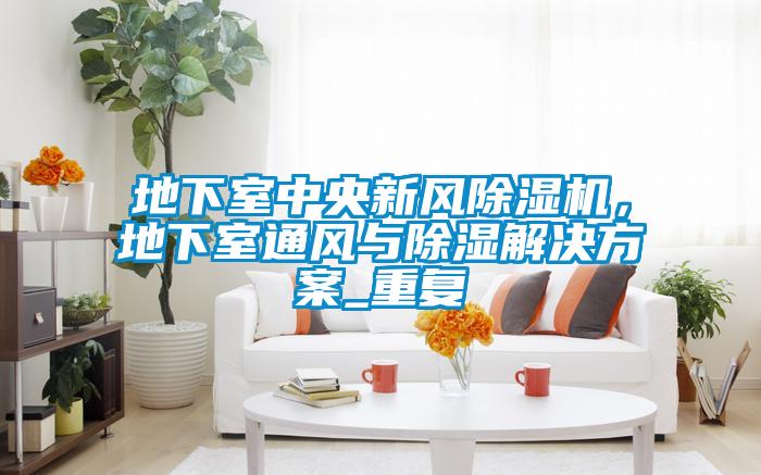 地下室中央新風(fēng)除濕機(jī),地下室通風(fēng)與除濕解決方案_重復(fù)