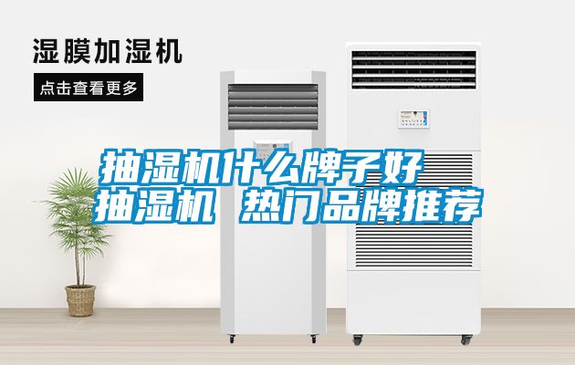 抽濕機什么牌子好 抽濕機 熱門品牌推薦
