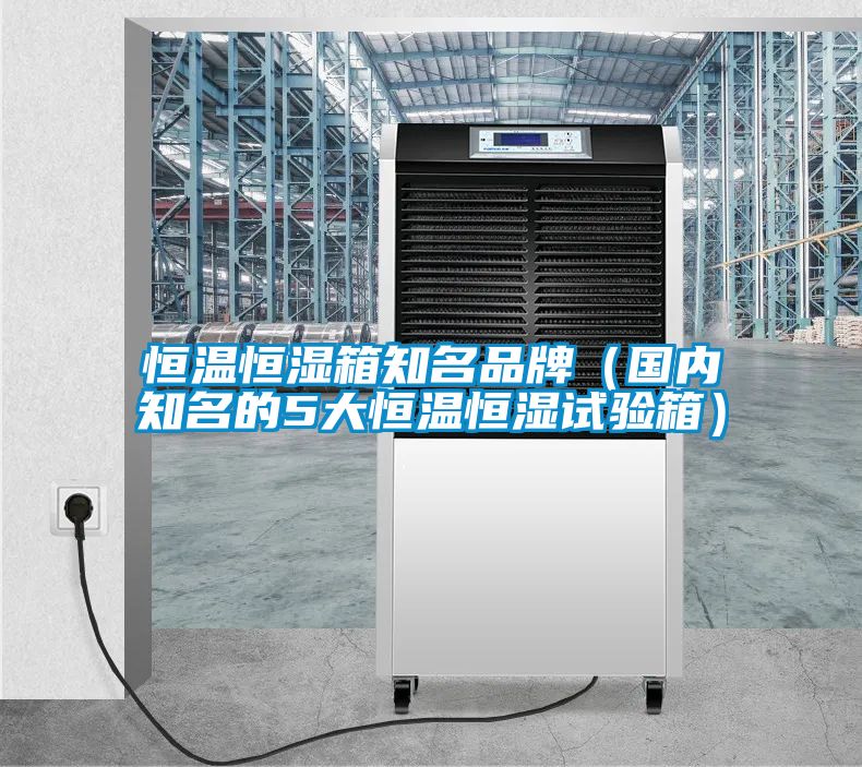 恒溫恒濕箱知名品牌(國(guó)內(nèi)知名的5大恒溫恒濕試驗(yàn)箱)