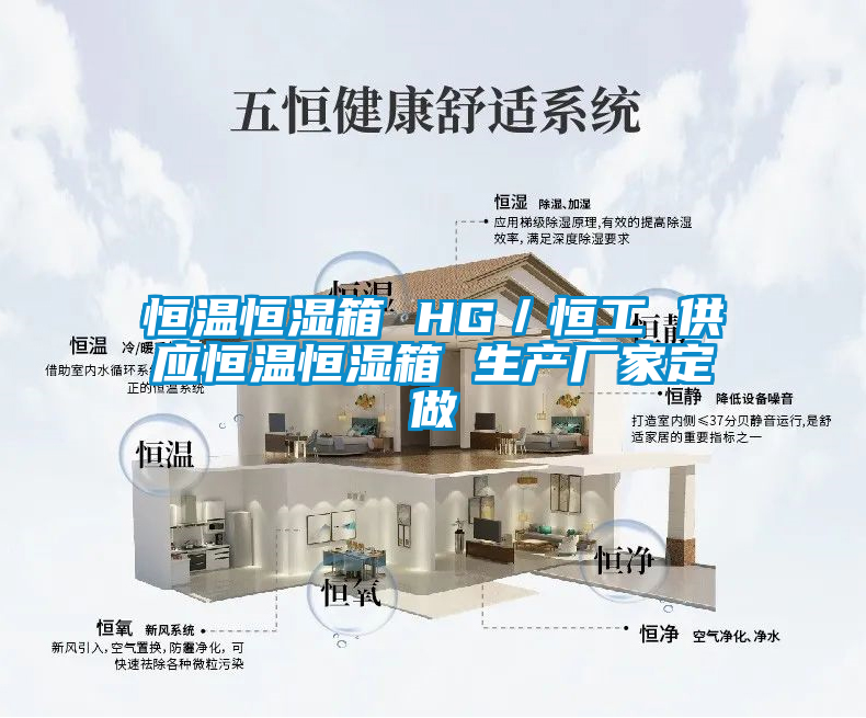 恒溫恒濕箱 HG/恒工 供應(yīng)恒溫恒濕箱 生產(chǎn)廠家定做