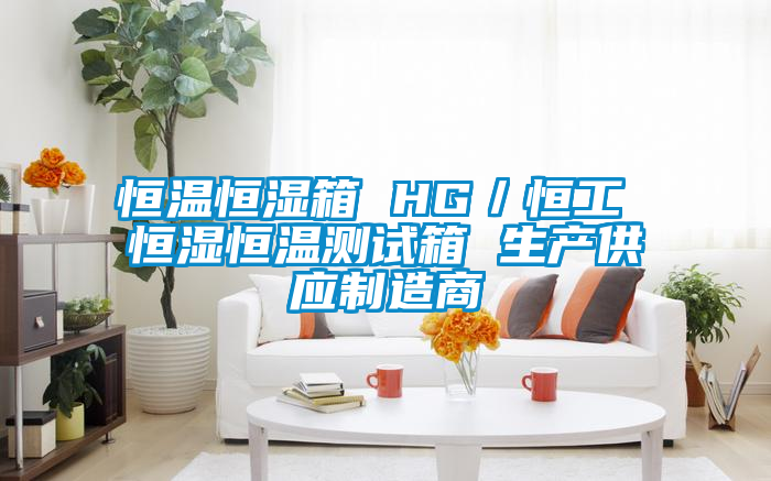 恒溫恒濕箱 HG/恒工 恒濕恒溫測試箱 生產供應制造商