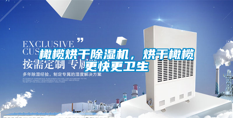 橄欖烘干除濕機，烘干橄欖更快更衛生