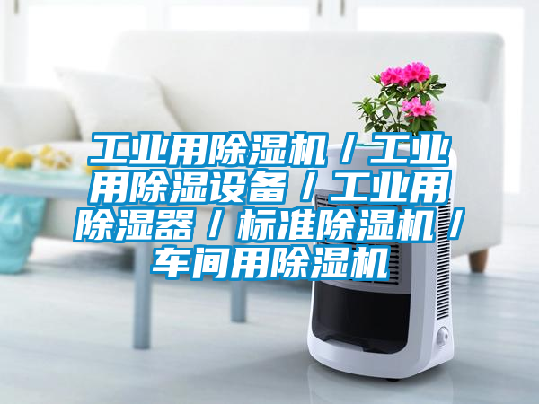 工業(yè)用除濕機/工業(yè)用除濕設(shè)備/工業(yè)用除濕器/標準除濕機/車間用除濕機