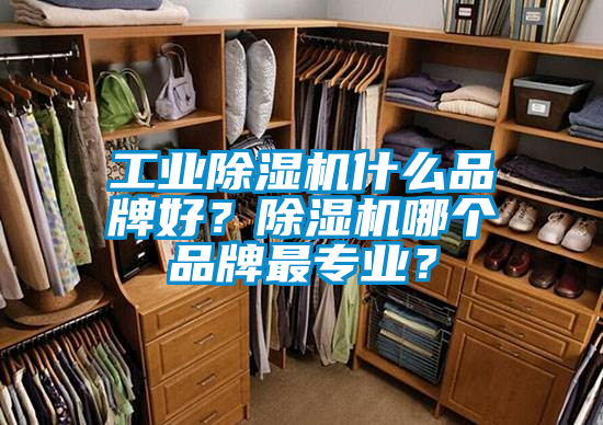 工業(yè)除濕機(jī)什么品牌好?除濕機(jī)哪個品牌最專業(yè)?