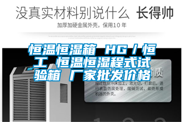 恒溫恒濕箱 HG/恒工 恒溫恒濕程式試驗箱 廠家批發(fā)價格