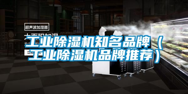 工業(yè)除濕機(jī)知名品牌(工業(yè)除濕機(jī)品牌推薦)