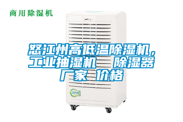 怒江州高低溫除濕機,工業(yè)抽濕機 除濕器廠家 價格