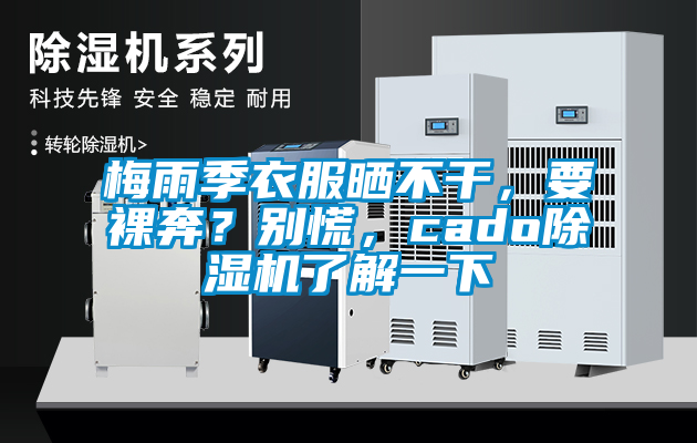梅雨季衣服曬不干,要裸奔?別慌,cado除濕機(jī)了解一下