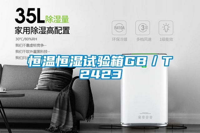 恒溫恒濕試驗(yàn)箱GB/T2423