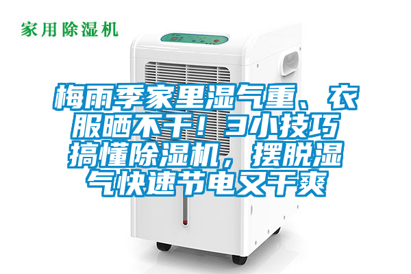 梅雨季家里濕氣重、衣服曬不干!3小技巧搞懂除濕機,擺脫濕氣快速節電又干爽
