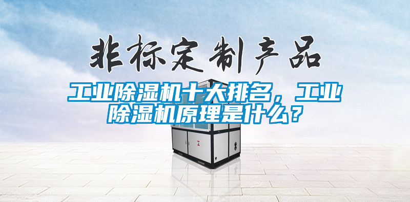 工業(yè)除濕機(jī)十大排名,工業(yè)除濕機(jī)原理是什么?