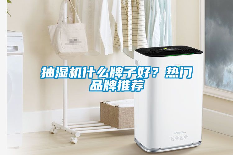 抽濕機什么牌子好？熱門品牌推薦