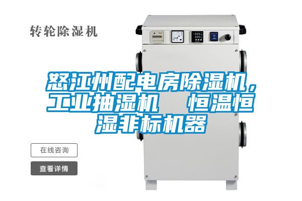怒江州配電房除濕機,工業(yè)抽濕機 恒溫恒濕非標(biāo)機器
