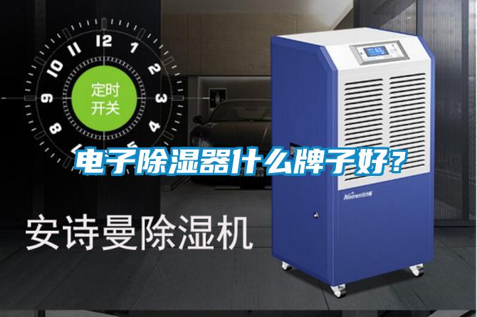 電子除濕器什么牌子好?