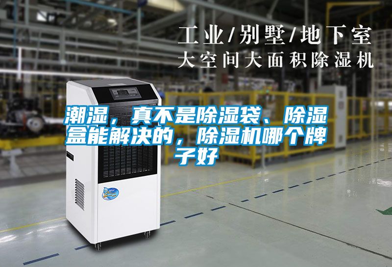 潮濕，真不是除濕袋、除濕盒能解決的，除濕機(jī)哪個(gè)牌子好