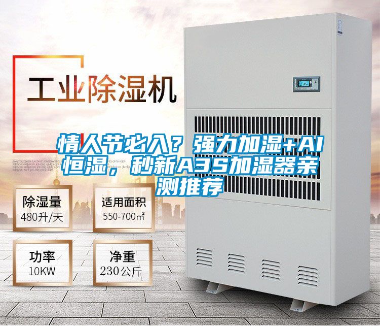 情人節(jié)必入?強(qiáng)力加濕+AI恒濕,秒新A3S加濕器親測(cè)推薦