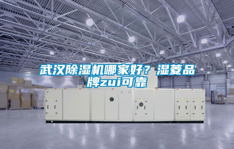 武漢除濕機哪家好?濕菱品牌zui可靠