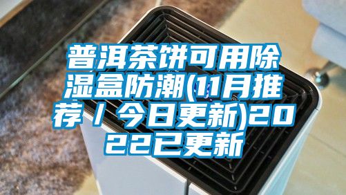 普洱茶餅可用除濕盒防潮(11月推薦/今日更新)2022已更新
