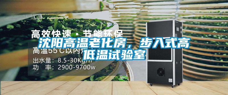 沈陽高溫老化房,步入式高低溫試驗室