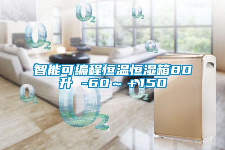 智能可編程恒溫恒濕箱80升 -60~+150℃