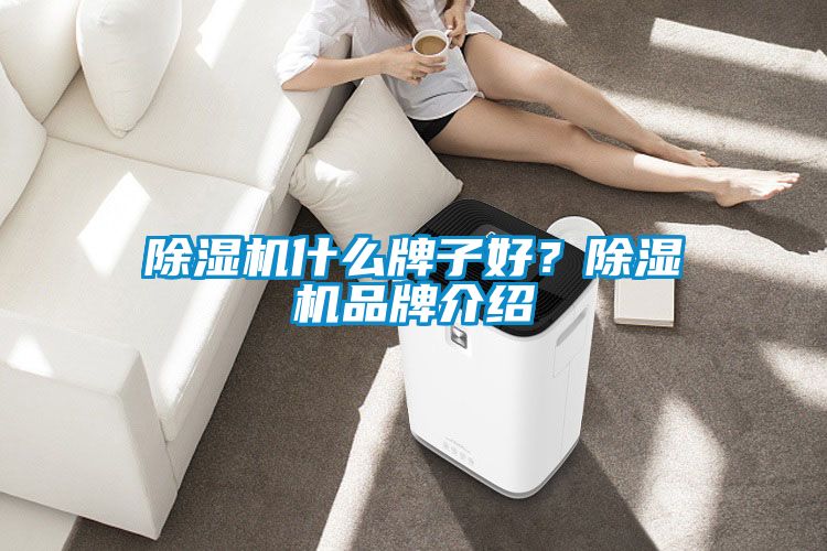 除濕機(jī)什么牌子好？除濕機(jī)品牌介紹