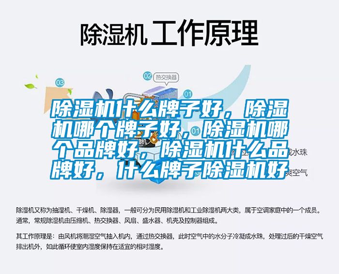 除濕機什么牌子好,除濕機哪個牌子好,除濕機哪個品牌好,除濕機什么品牌好,什么牌子除濕機好