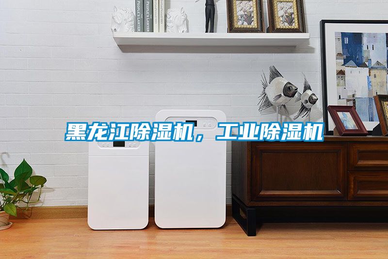 黑龍江除濕機(jī)，工業(yè)除濕機(jī)